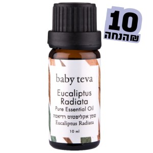 אקליפטוס רדיאטה אקליפטוס רדיאטה